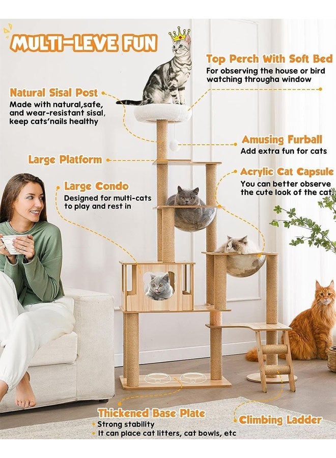 شجرة قطط حديثة للقطط الداخلية، برج خشبي متعدد المستويات بطول 65 بوصة، شقتان كبيرتان على شكل كبسولة، مزودة بخدش من السيزال بالكامل - Image 2